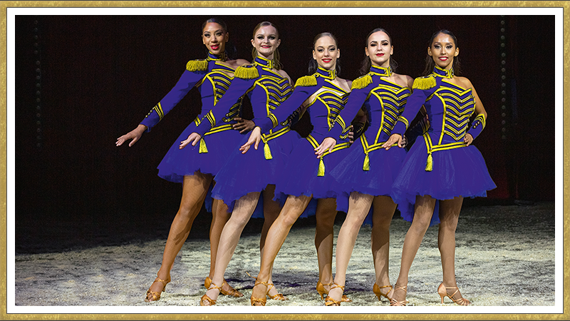 Show-Ballett – Galant, elegant und tänzerisch durch die Manege (Großbritannien)
